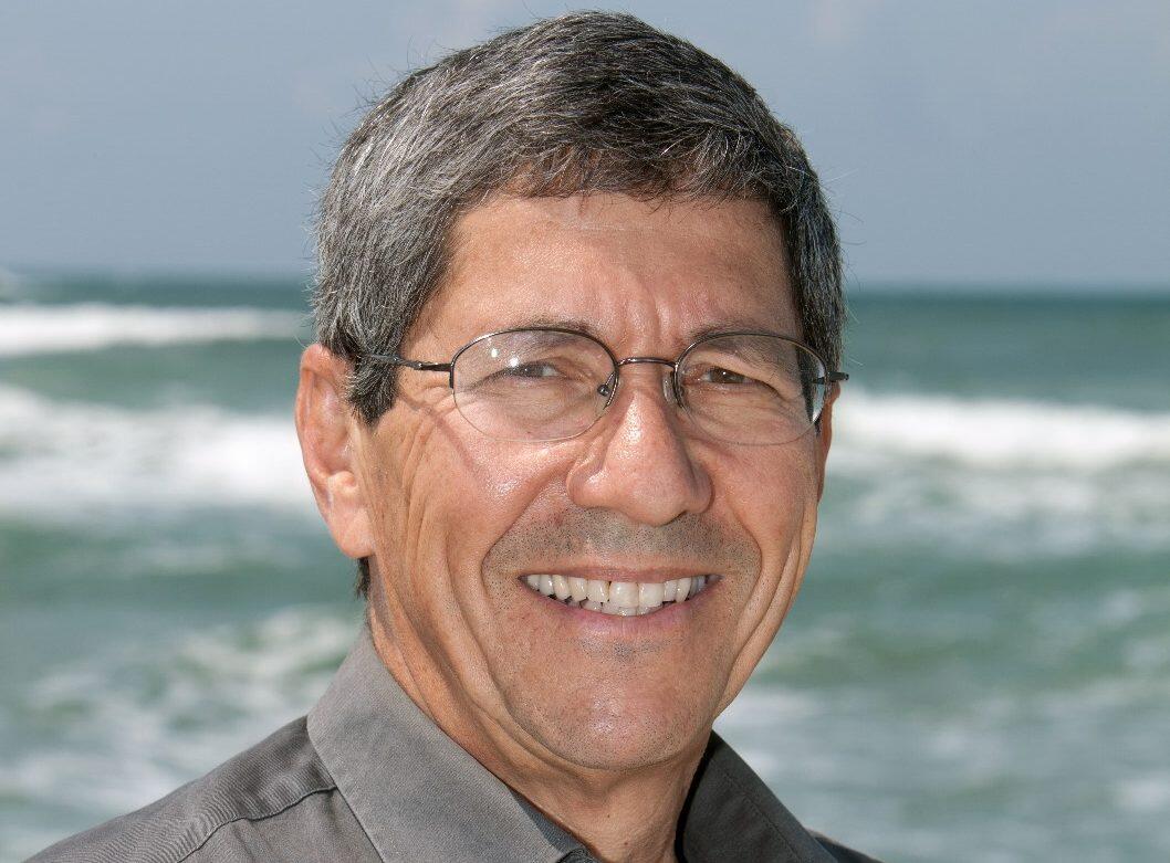 תופעה בחוף הצפוני – האצות חוסמות את השמש ופוגעות אלמוגים ובעשבי הים