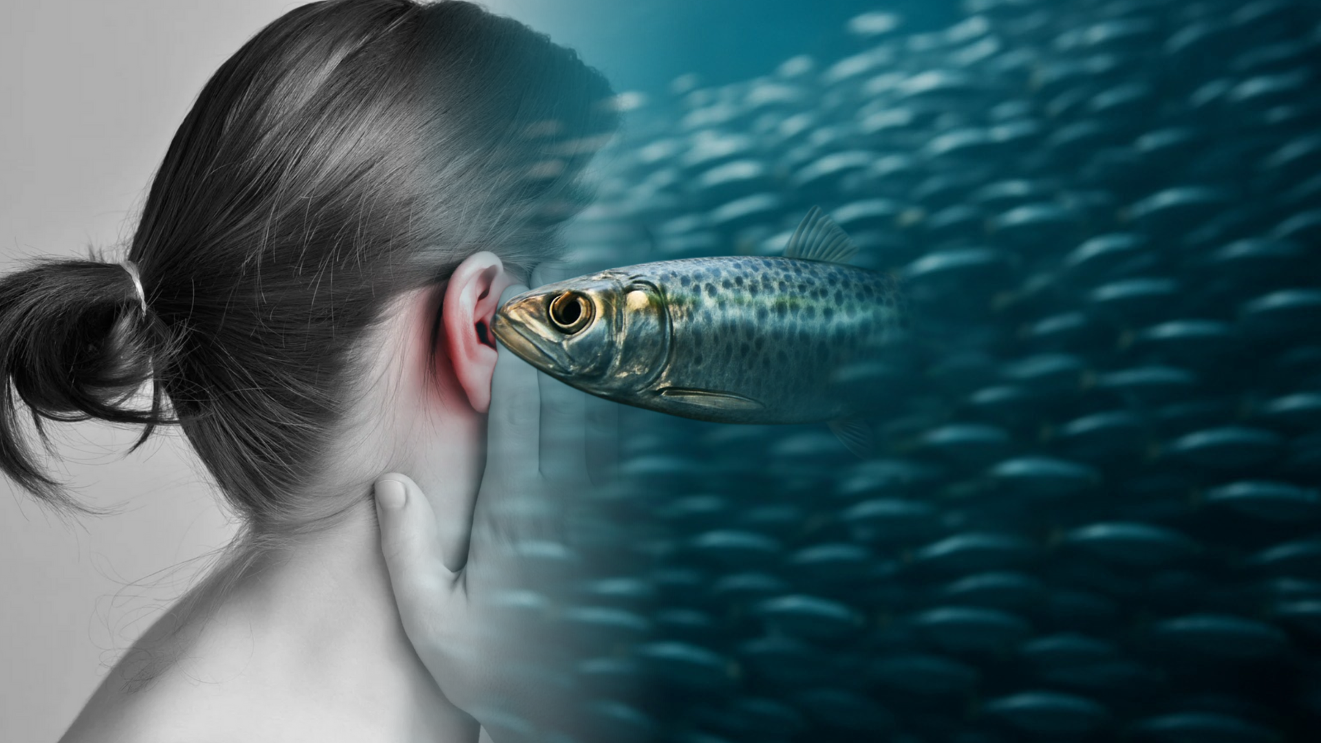 צללה לצלם ויצאה עם סרדין באוזן