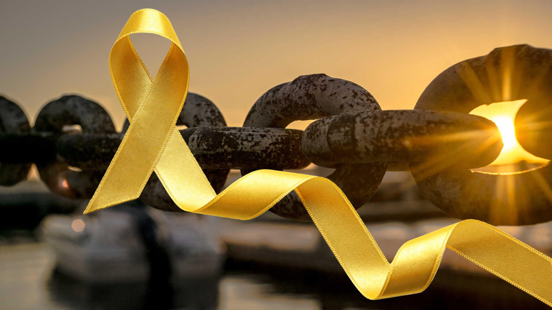 בן דודם של גלי וזיו ברמן: 