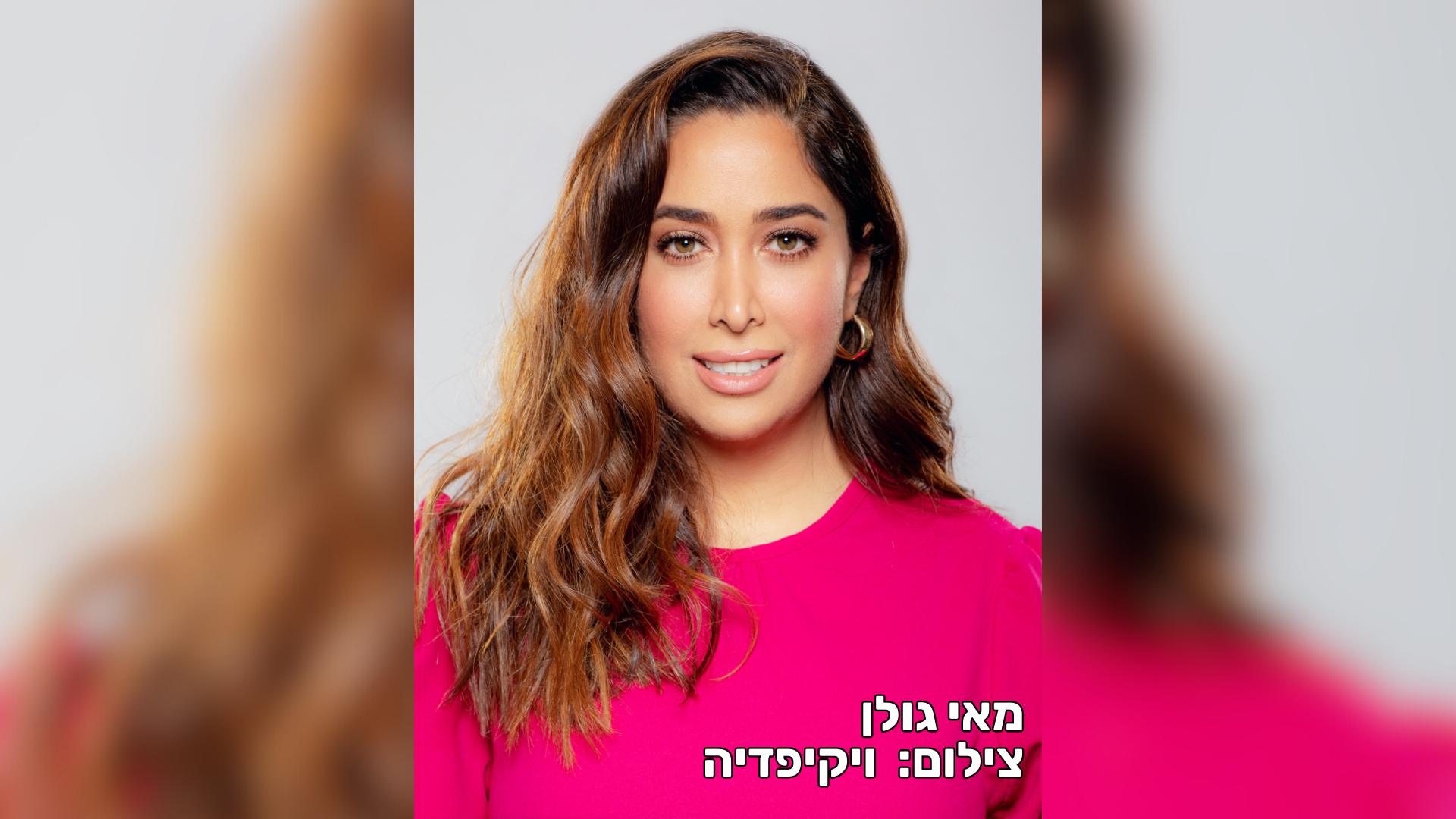 פרשת מאי גולן: עצורים בפרשה, השרה תיחקר