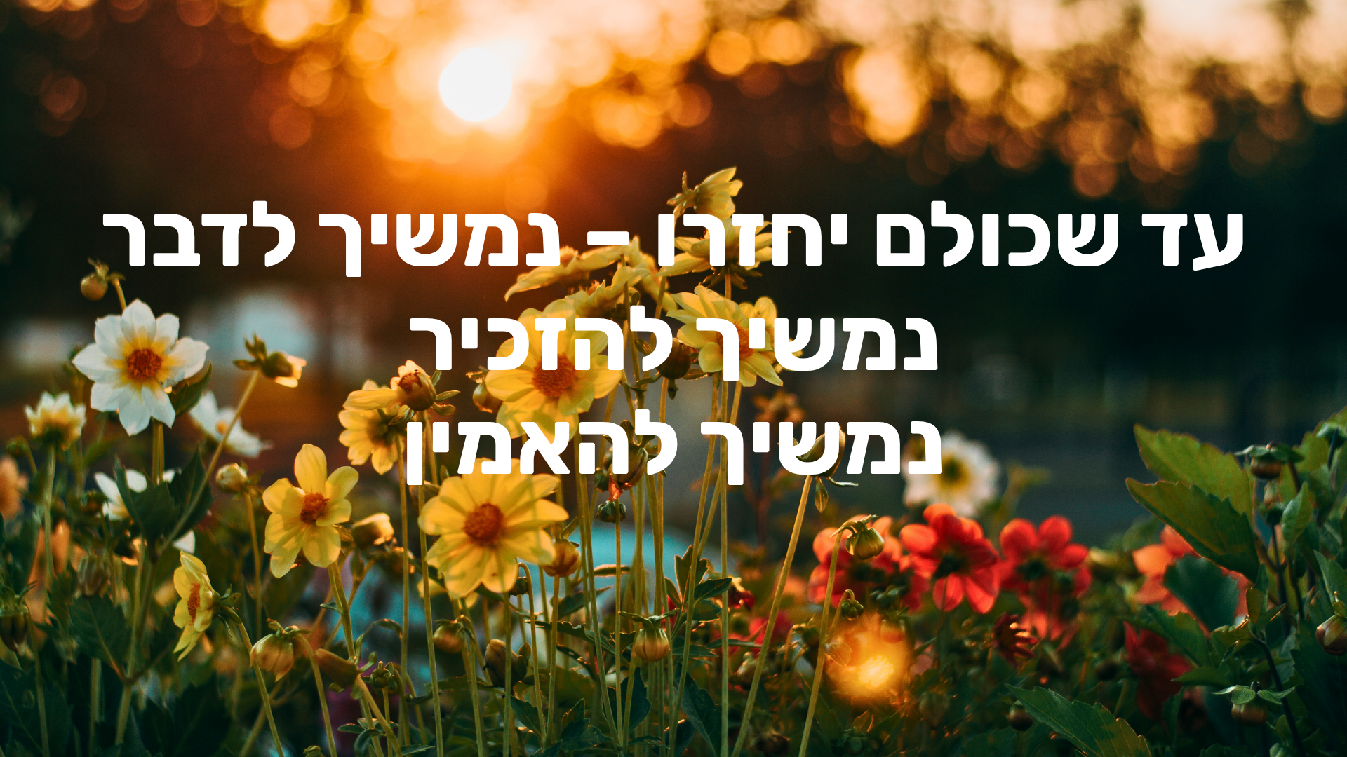 כולם צריכים לחזור הביתה – הקול שלא מפסיק להזכיר את החטופים