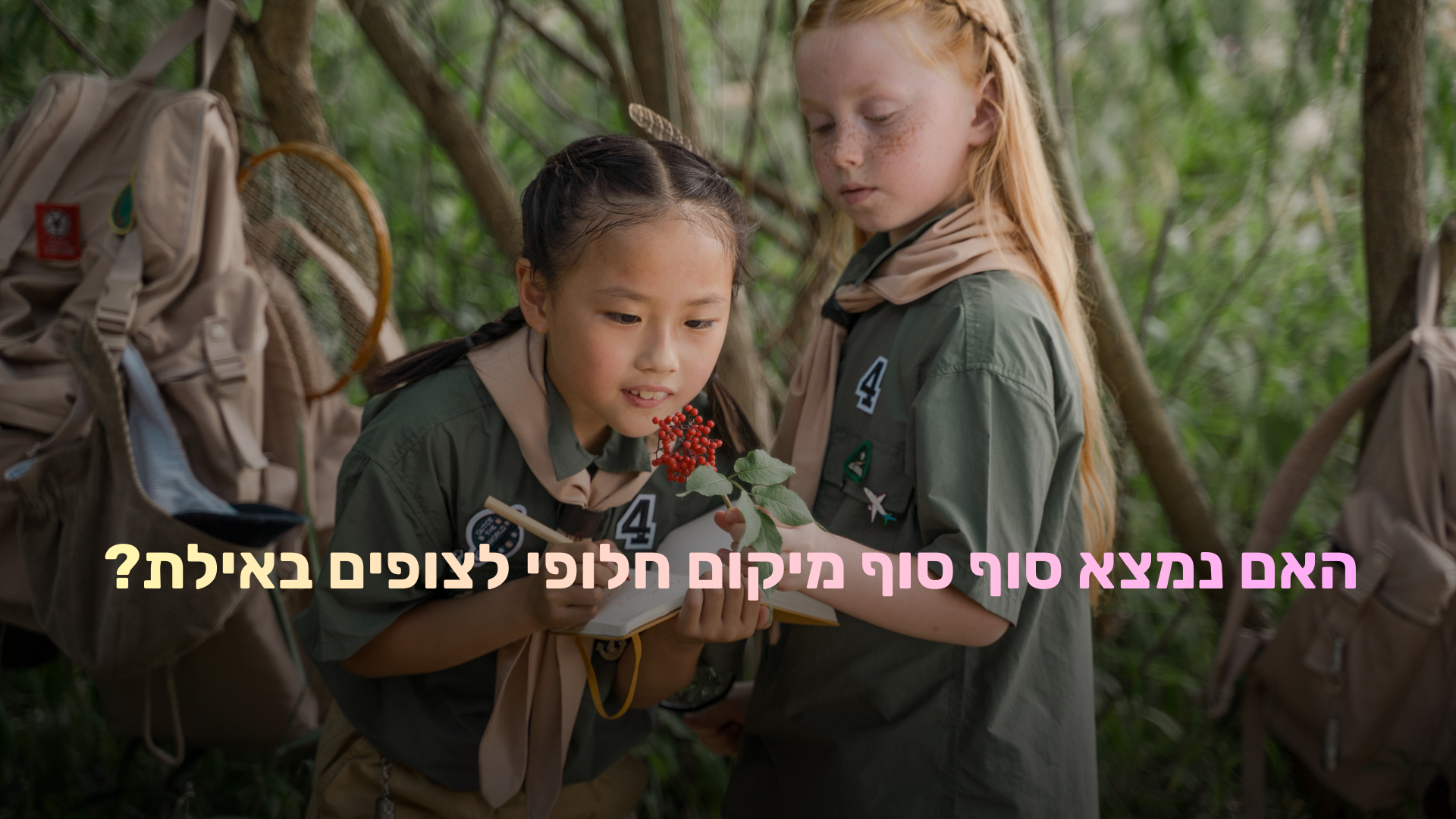 מסתמן פתרון: האם נמצא סוף סוף מיקום חלופי לצופים באילת?