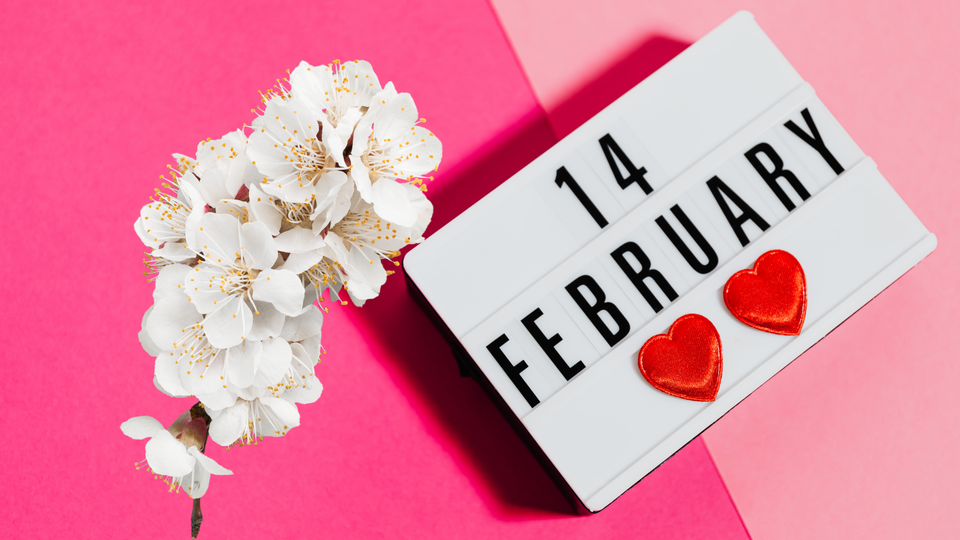 חוגגים אהבה: כל מה שצריך לדעת על הוולנטיין דיי